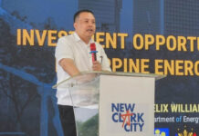 Power Subsidy For Investors Eyed In CREATE MORE Bill