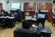 Antique Calls For Protection Of Sea Turtles’ Nesting Area